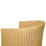 vidaXL Armchair Solid Mango Wood and Rattan, 243622