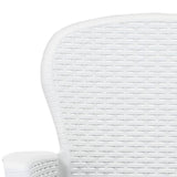 vidaXL Garden Chairs 2 pcs with Cushion White Plastic Rattan Look, 45598